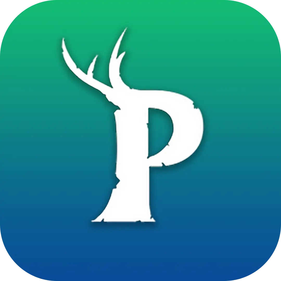 Palworld